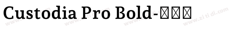 Custodia Pro Bold字体转换